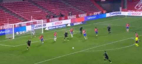 退役后务农，哈姆西克：和妻子养了29只鸡，鸡蛋多得吃不完